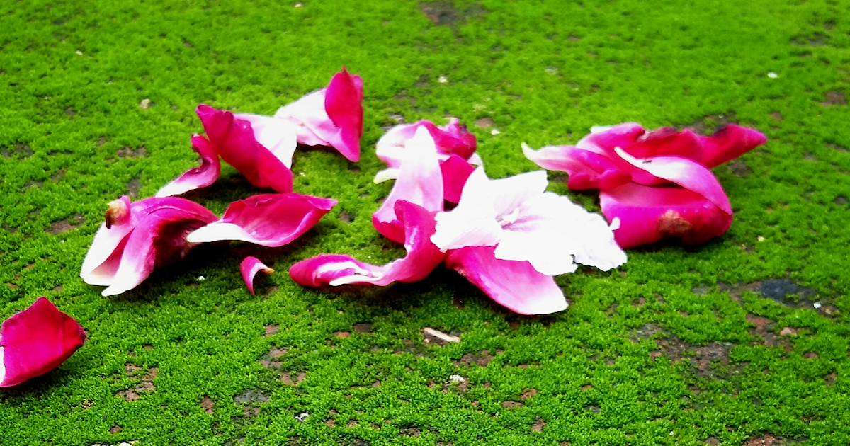 à¤à¤ à¤¥à¤¾ à¤²à¥à¤à¤¾, à¤à¤ à¤¥à¥ à¤²à¥à¤à¥