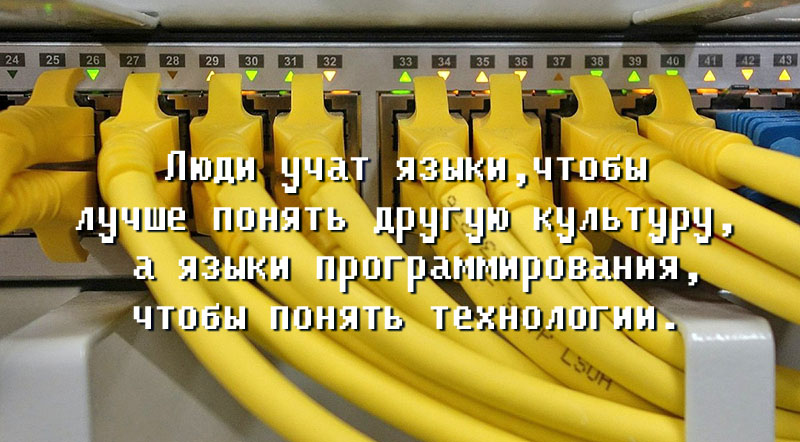 сетевые кабели подключены к роутеру