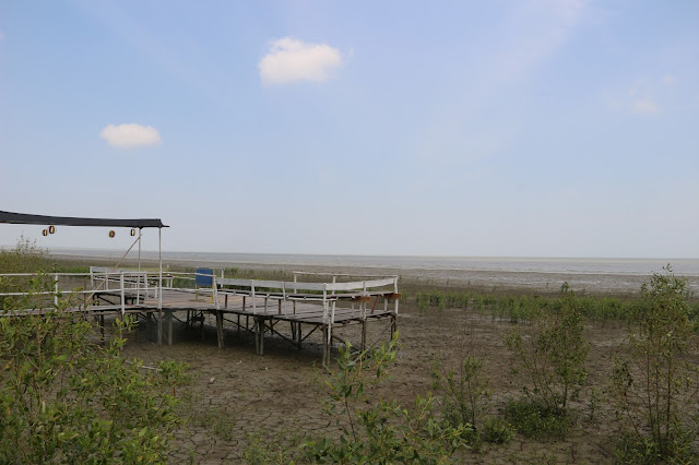 Mempawah Mangrove Conservation, Memadukan Lokasi Wisata dengan Edukasi dan Konservasi Mempawah Mangrove Conservation, Memadukan Lokasi Wisata dengan Edukasi dan Konservasi