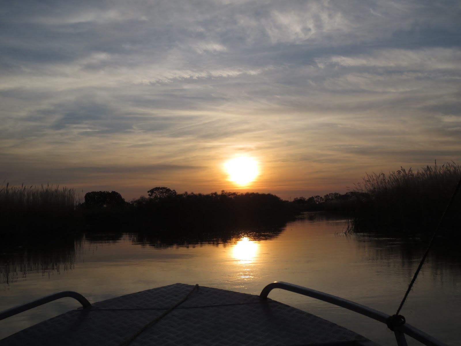 Día 4:  Maun a Mboma boat station. Noche en isla GK 1 (Moremi GR) - Botswana y Cataratas Victoria. Viaje por libre de 19 dias (13)