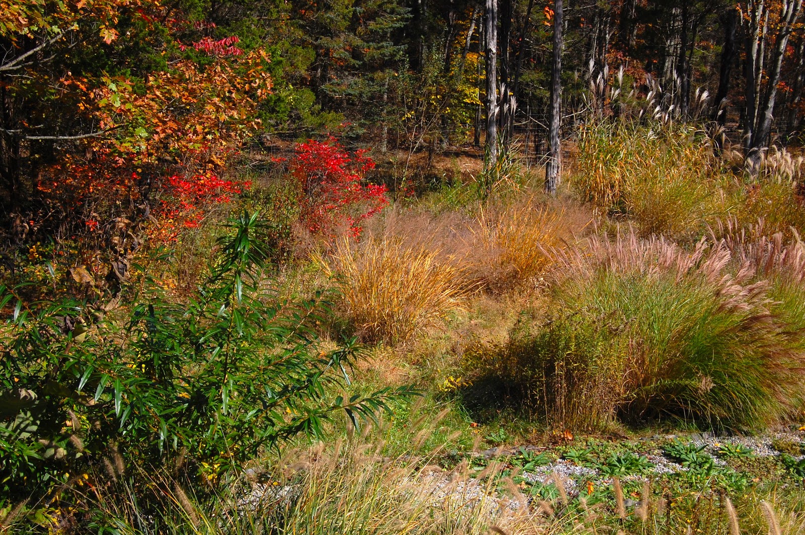 Noel's Garden Blog The view AT Federal Twist