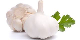 manfaat bawang putih untuk obat herbal jantung