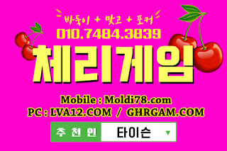 원탁의신게임,체리모바일,원탁게임,엠엘비게임,오라클게임,체리게임,초코볼게임,바둑이게임 원탁의신게임,체리모바일,원탁게임,엠엘비게임,오라클게임,체리게임,초코볼게임,바둑이게임