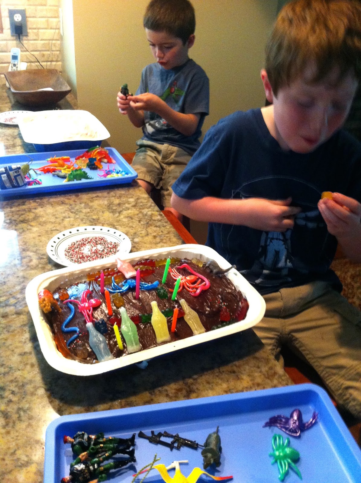The Hidden Pantry 7 Year Old Twins Decorate Their Own Birthday Cakes