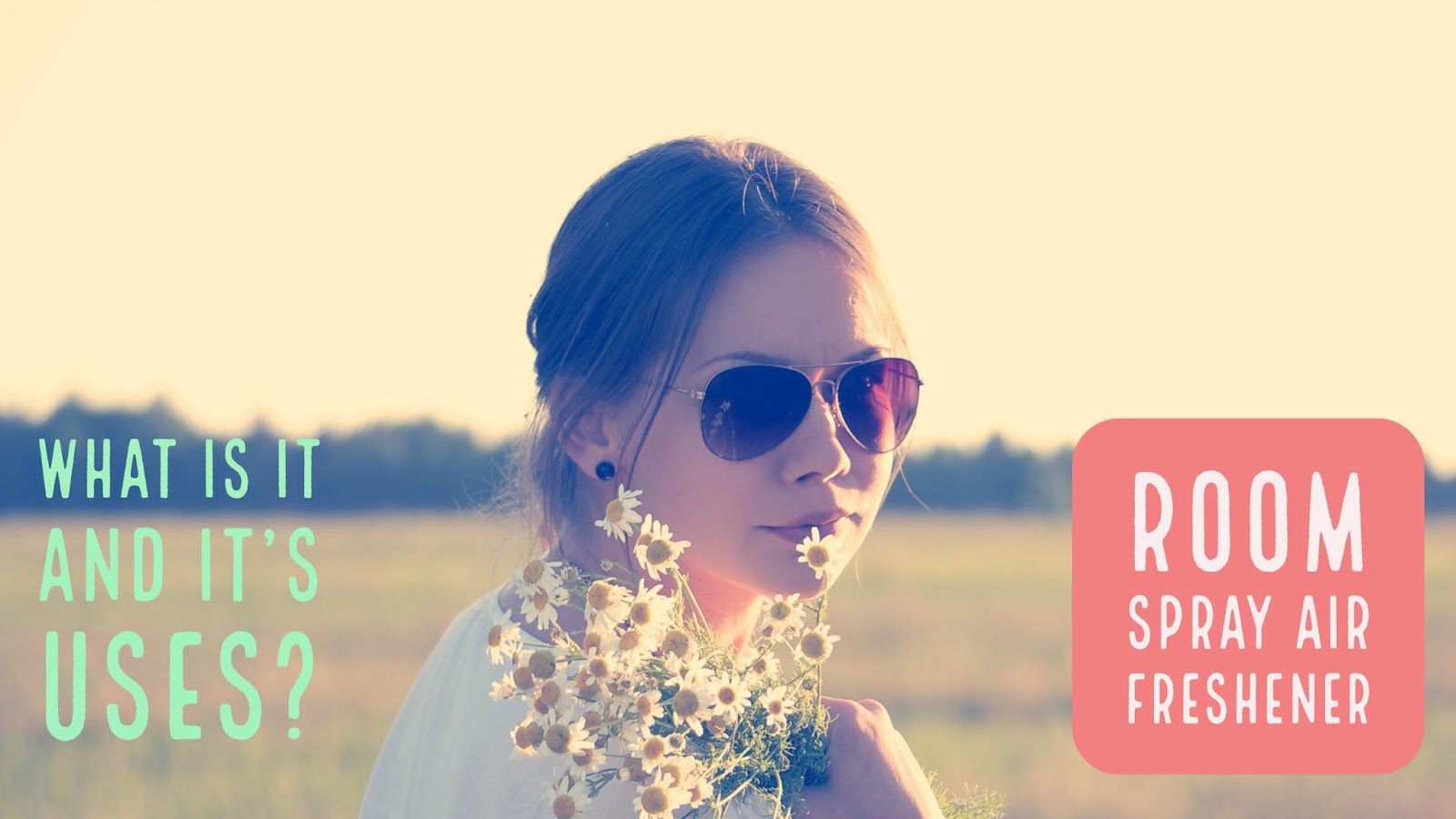 Room Spray Air Freshener What is a Room Spray, How to Use It & Make