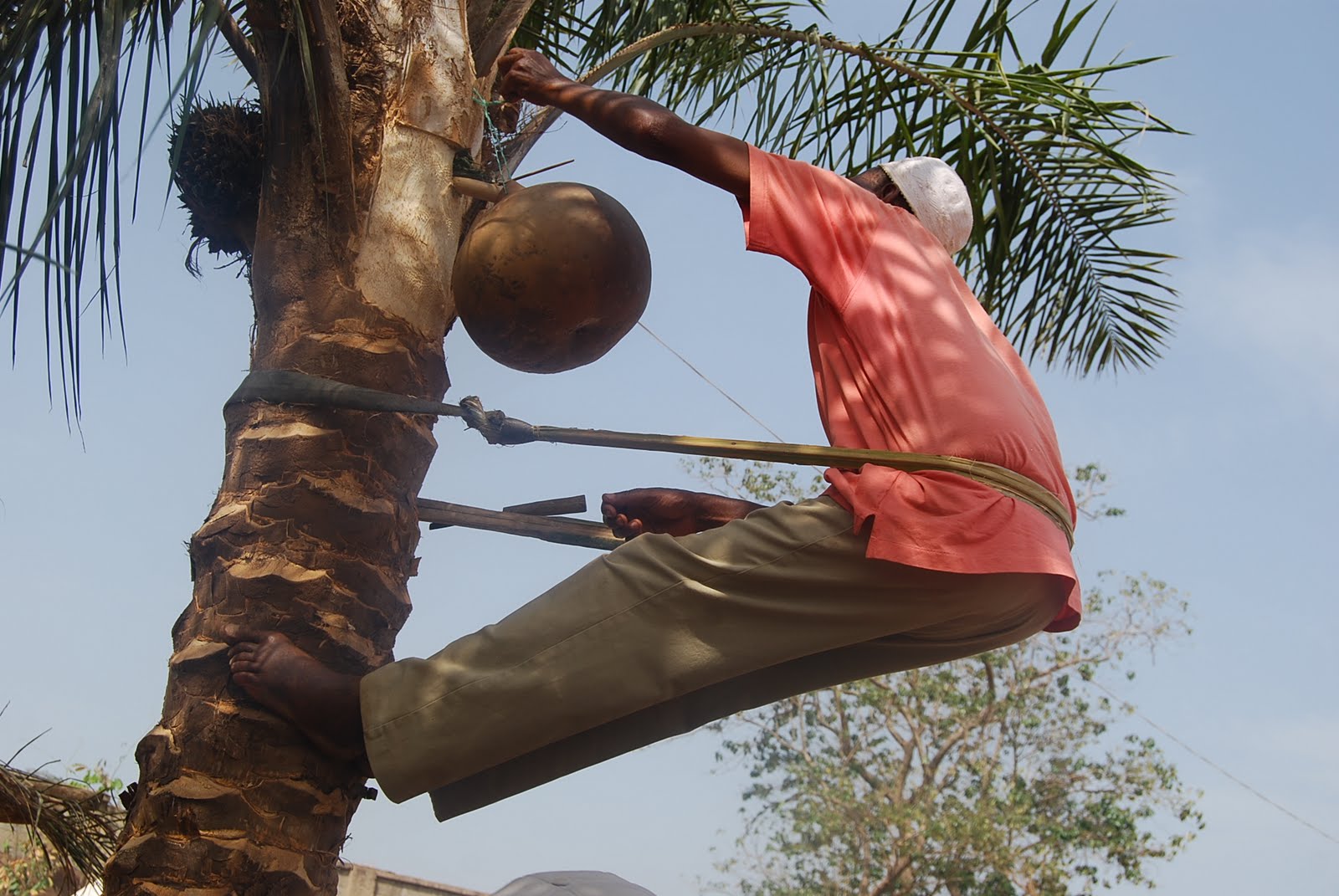 No 1 Entertainment Blog Reason Why You Must Drink Palm Wine
