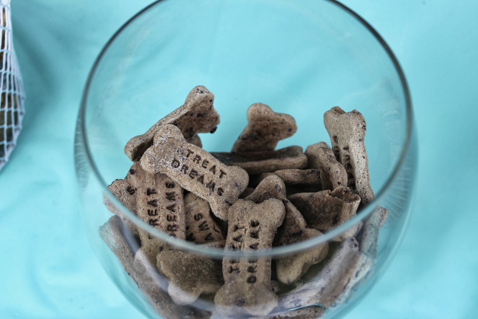 My Dog Treat Vendor Display Treat Dreams...are made of this