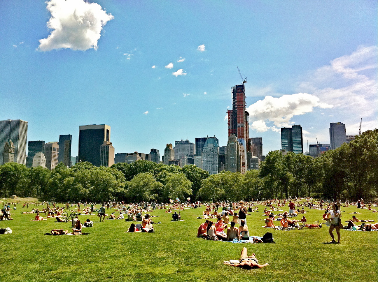 NYC ♥ NYC: Sunbathers, Picnickers and Frisbee Players at Sheep Meadow
