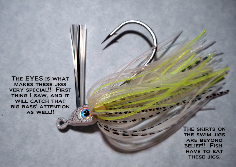 Derek Herring Fishing Swim Jig Fishing 101