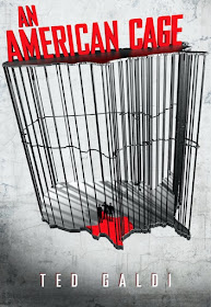 an-american-cage, ted-galdi, book
