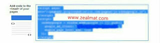 Google adsense page level ads Image