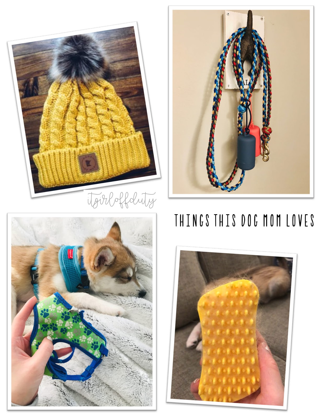 Knitting things for dogs