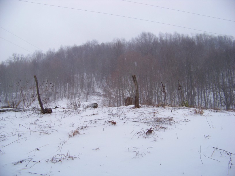 Outside Clyde A Calming Walk In A Raging Blizzard