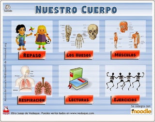 http://www.vedoque.com/juegos/el-cuerpo.swf