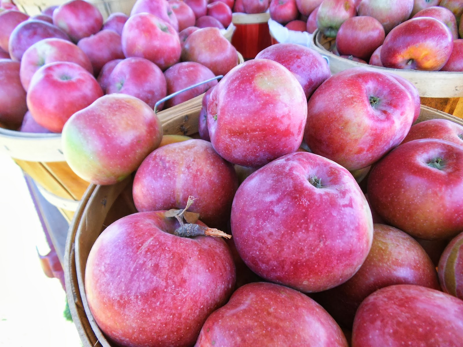 Pink Lady Apples(per pound) from Beech Creek Orchards (Local-not organic)