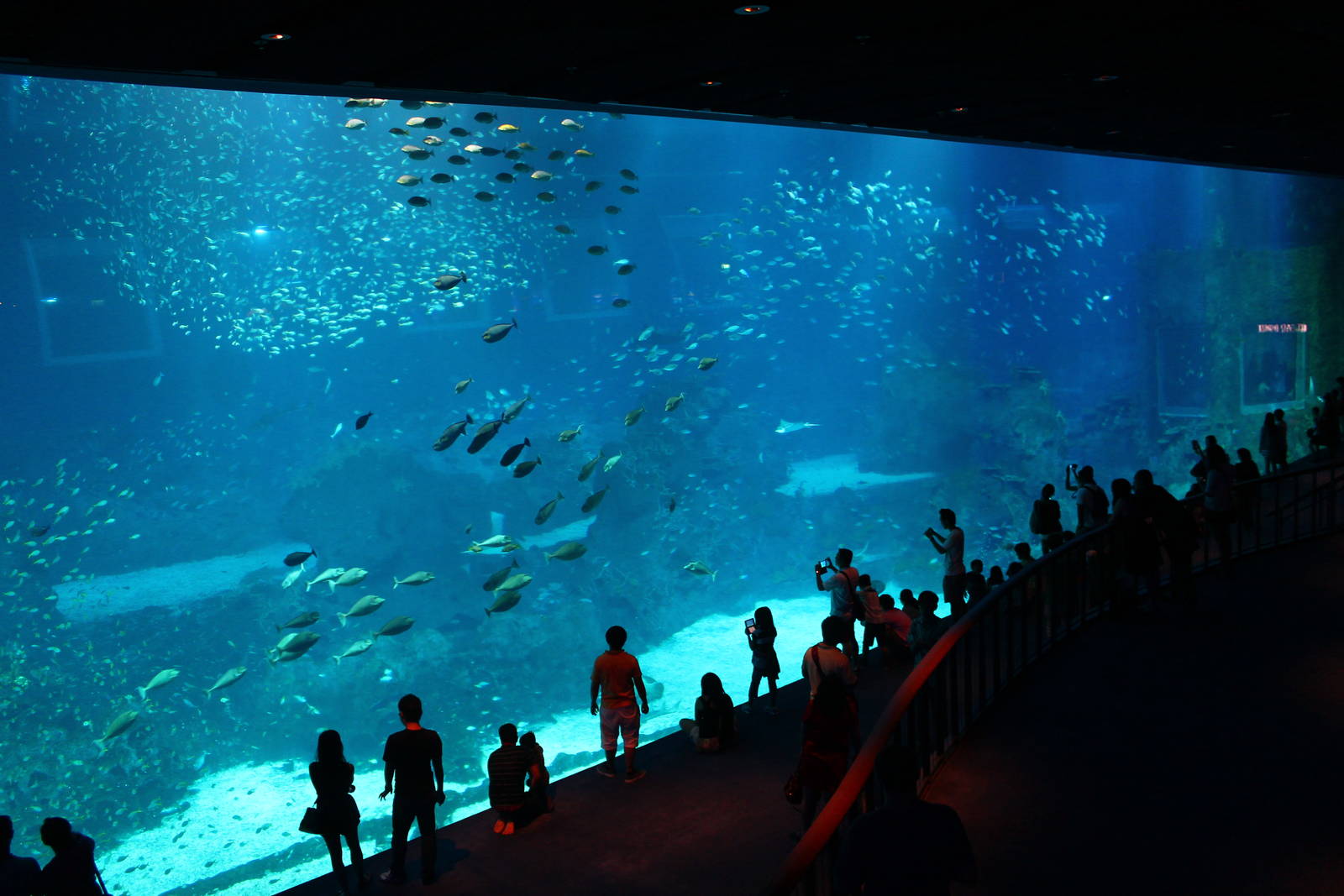 [Image: sea-aquarium.jpg]