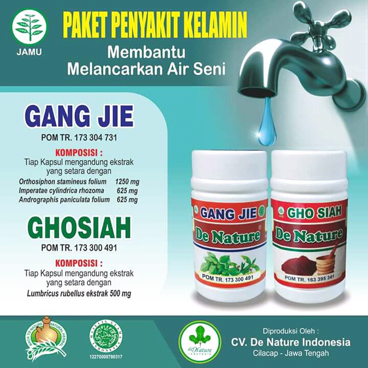 JUAL OBAT HERBAL DE NATUTE: nama obat infeksi saluran kencing parah