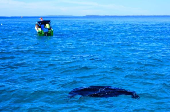 MY BLOG: Wisata Raja Ampat