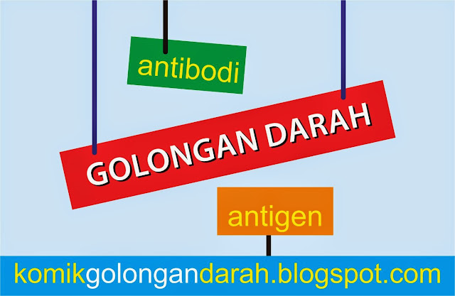 golongan darah antigen antibodi
