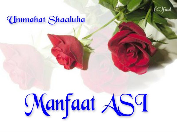 Ummahat Shaaluha Manfaat ASI