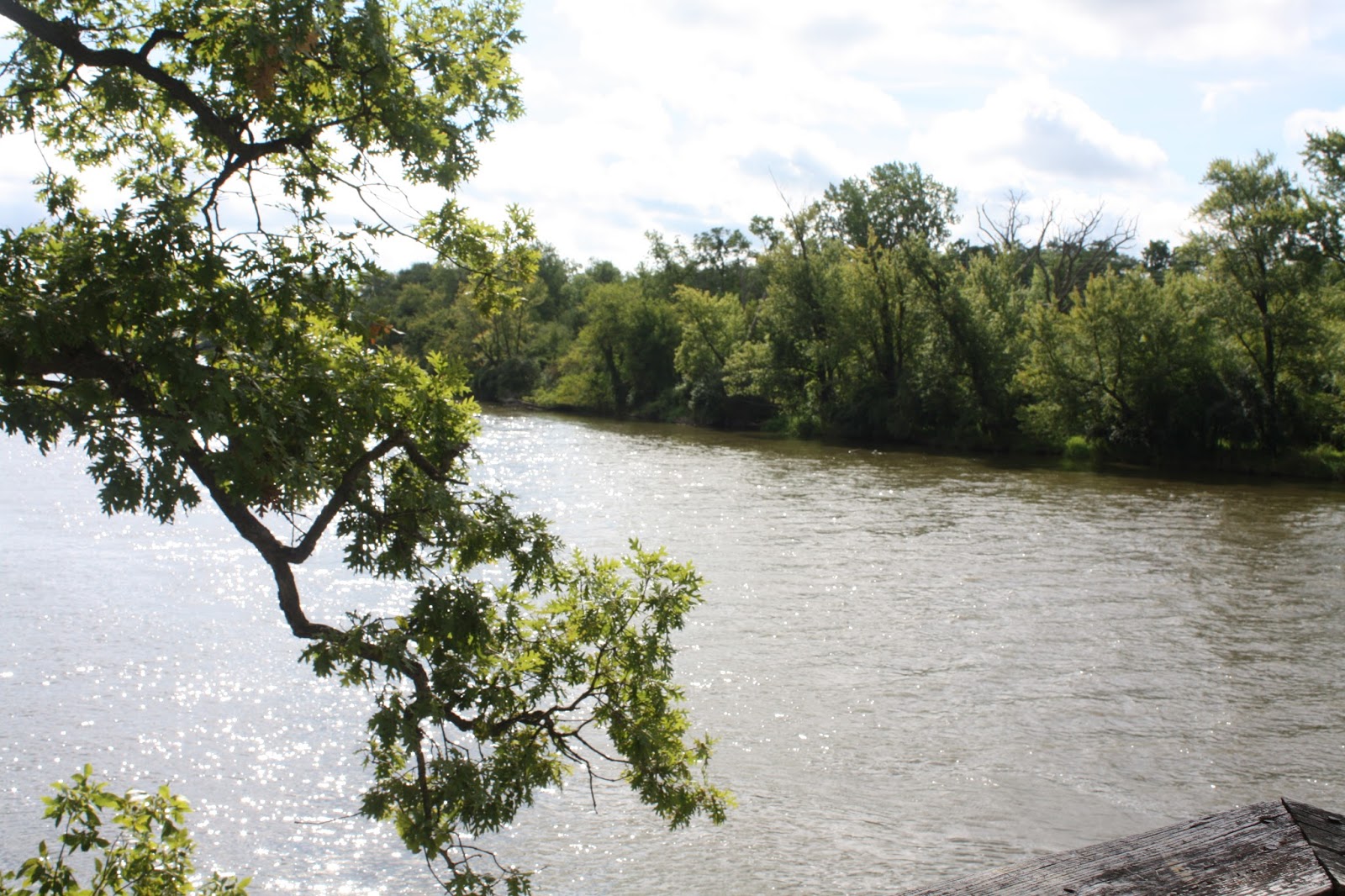 A Little Time and a Keyboard Quiet Morning in Nature at Black Hawk
