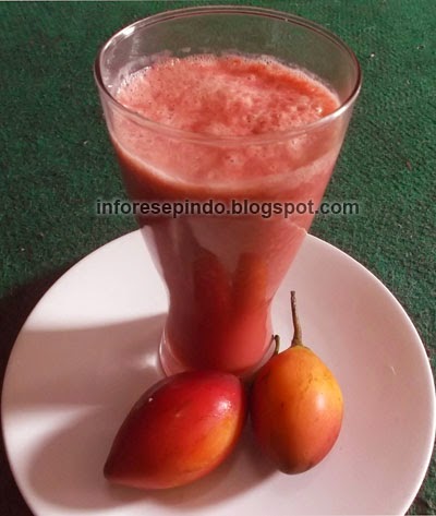Jus Terong Belanda Enak Cara Membuat Jus Terong Belanda Enak dan Segar