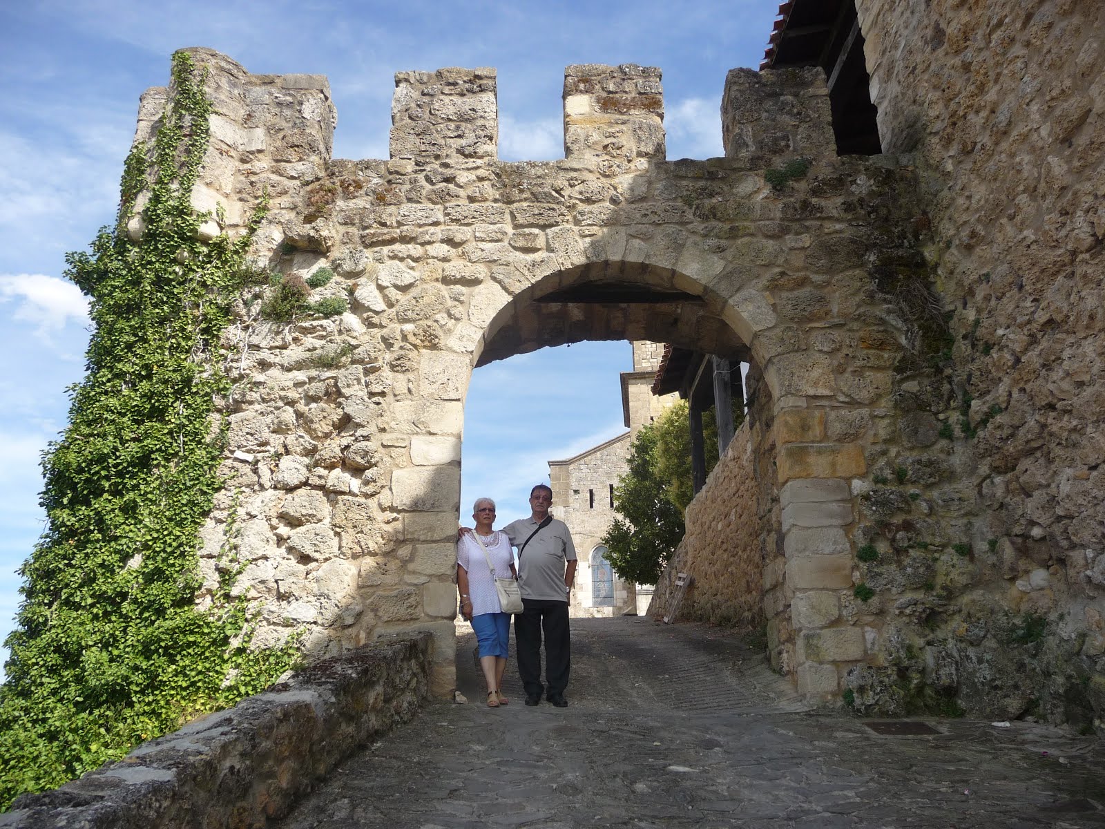 CASTELL DE FRIAS