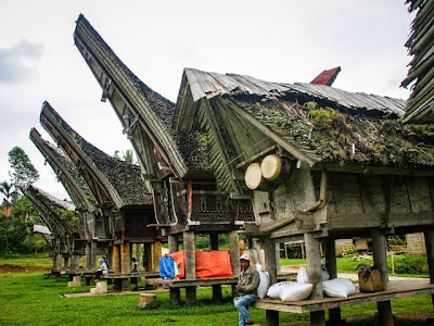 Harmoni Alam dan Budaya di Pelataran Tongkonan, Pedesaan Toraja