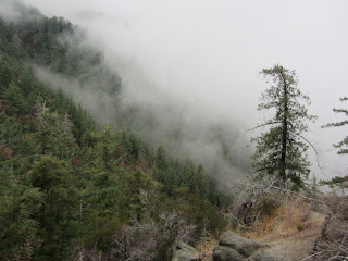 View from Kenyon Devore Trail