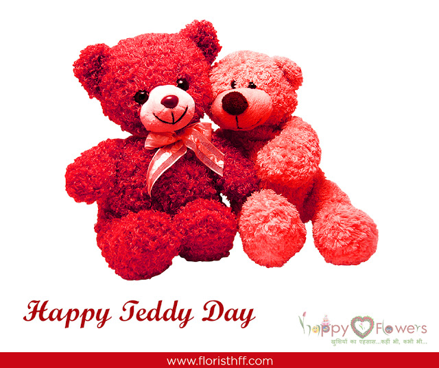 10th february teddy day