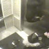 Dona fica desesperada após coleira de cão prender em porta de elevador