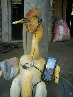 Ayam Kampus - Download Foto Profil BB Gratis | DP BBM gratis