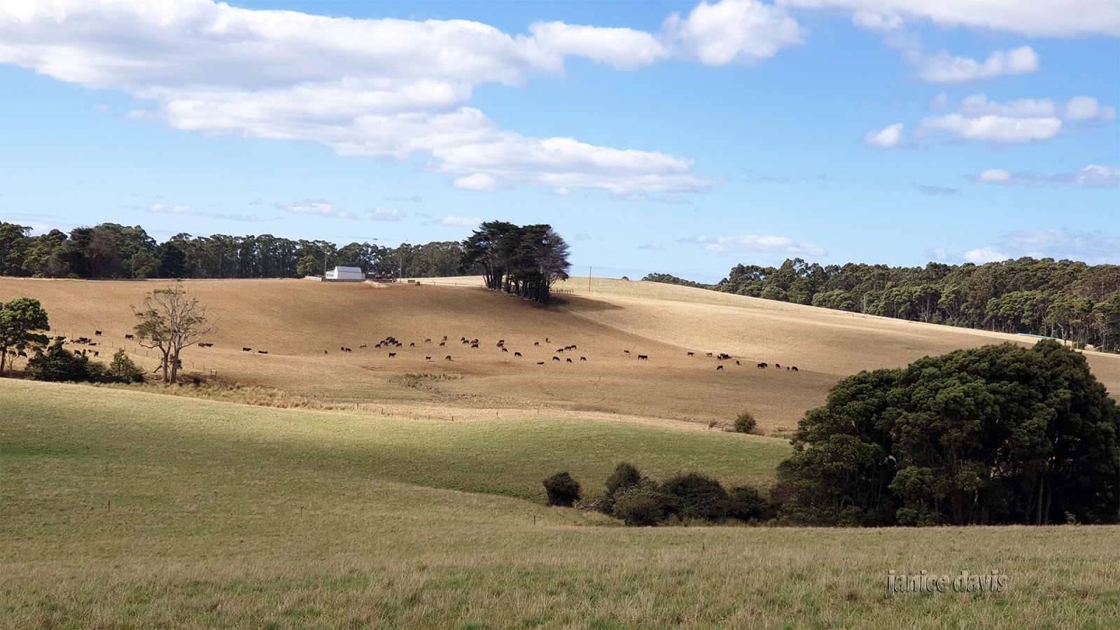 thoughts & happenings Irishtown, Tasmania.