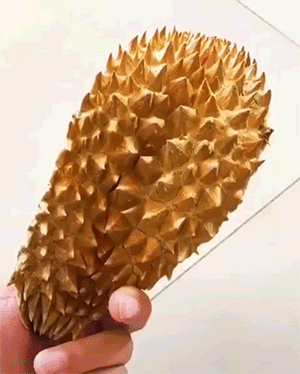 DR1brCj.gif