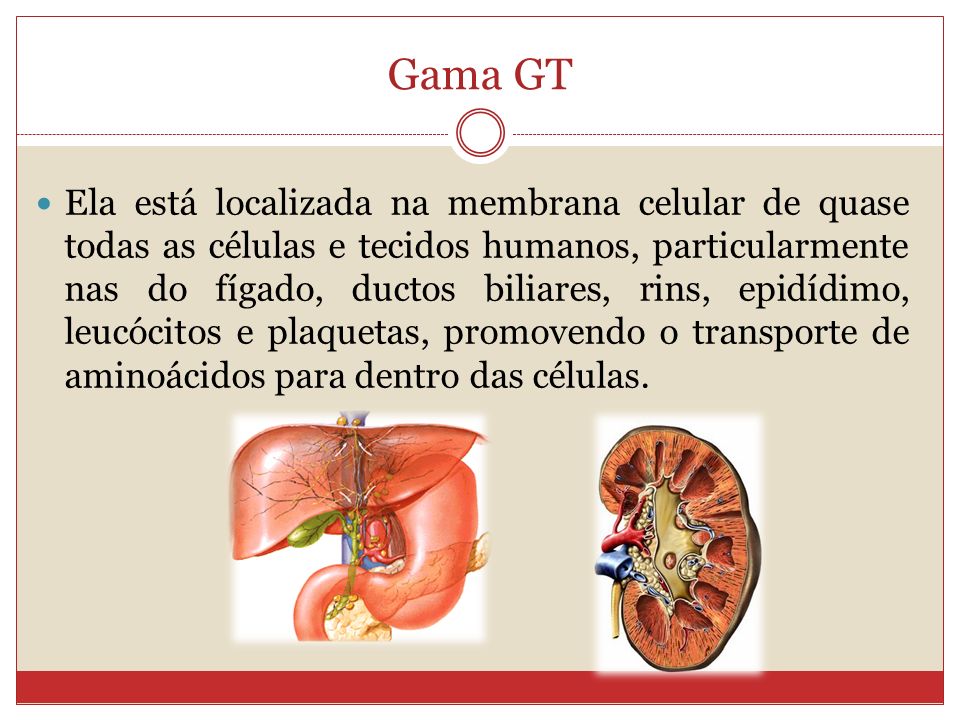 Imagem relacionada à função hepática