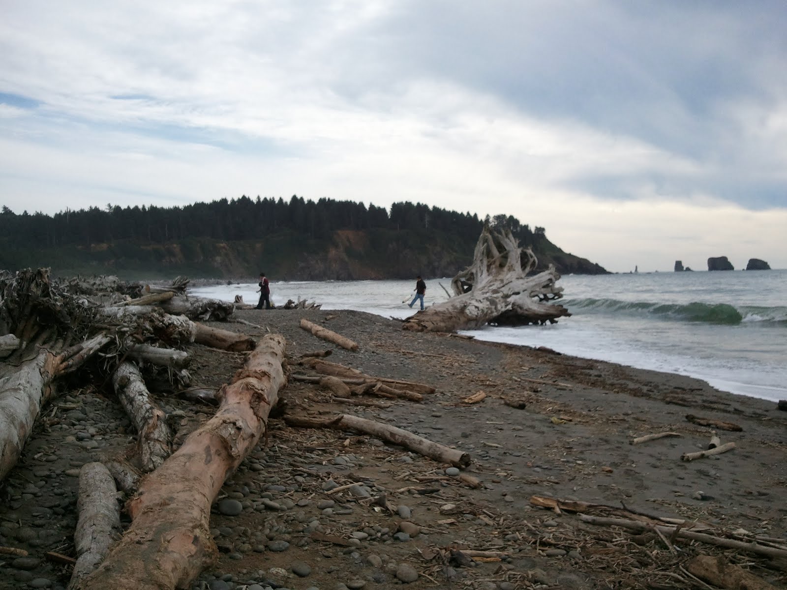 Quileute River Classroom What it Means to be Quileute