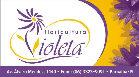 FLORICULTURA VIOLETA