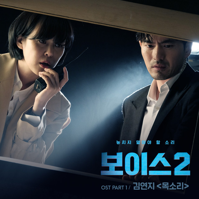 Review Drama Korea - Voice 2 ~ Miss BaNu StoRy