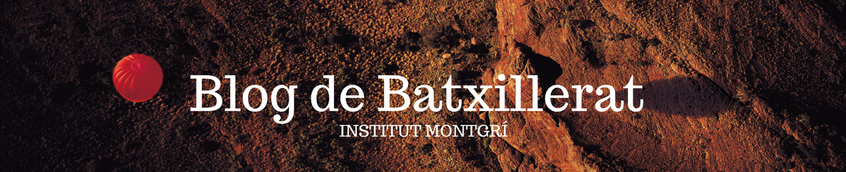 Blog de Batxillerat Institut Montgrí