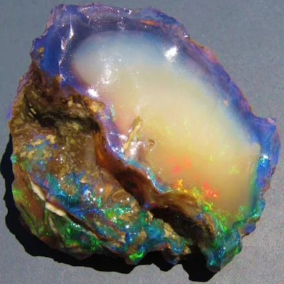 Rare Opalised Wood From Nevada
