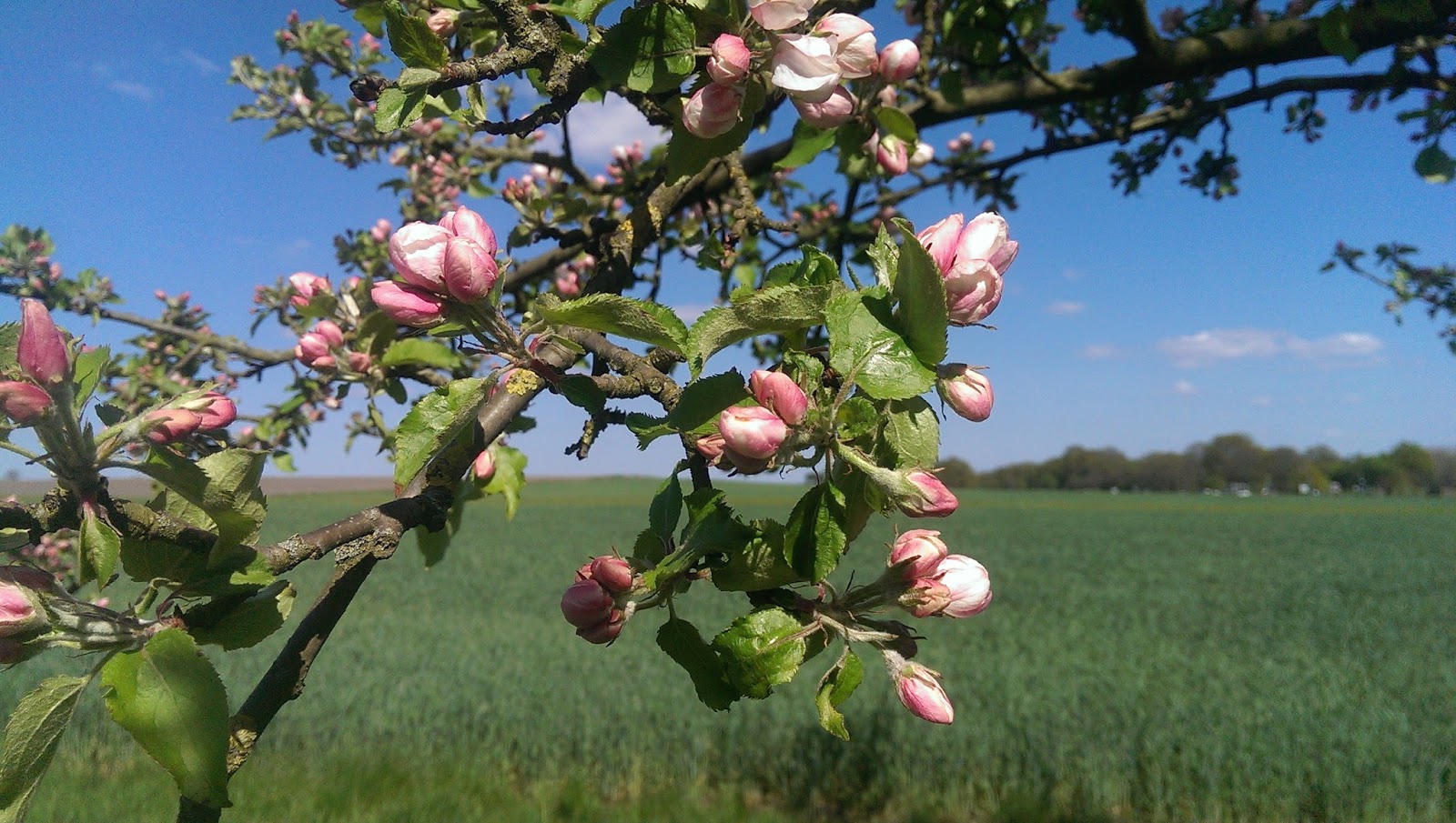 Sup Am Steinhuder Meer Ein Anfanger Kurs Eat Train Love