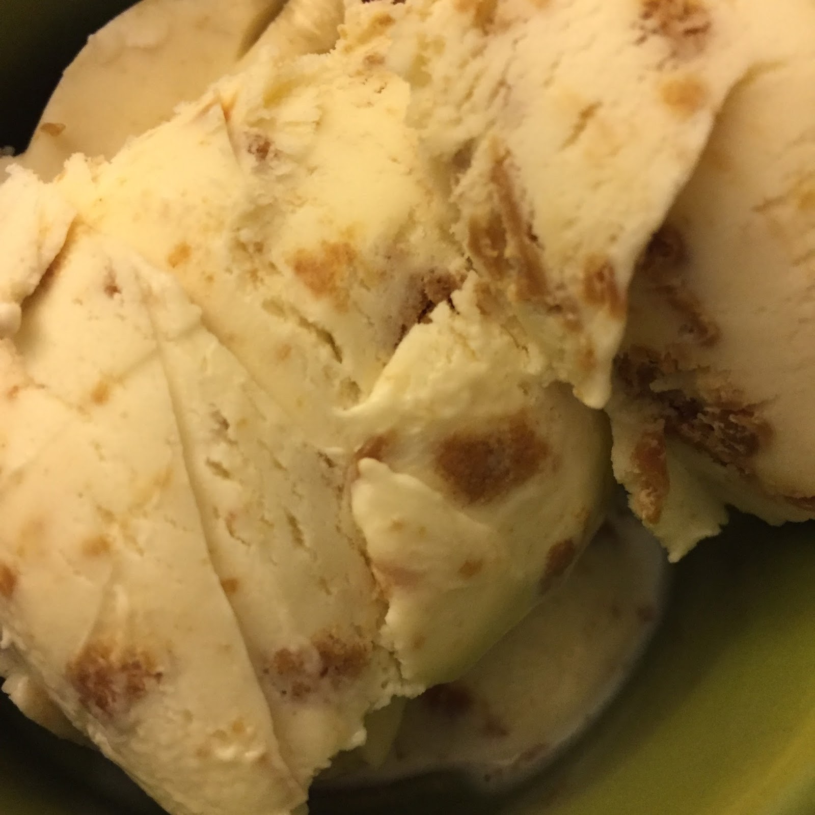 Trader Joe's Speculoos Cookie Butter Ice Cream