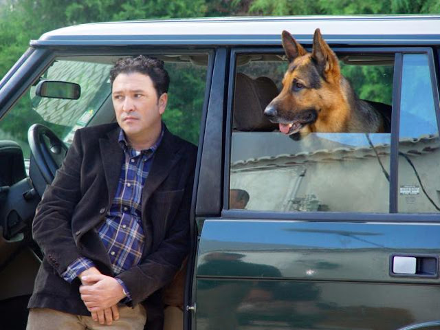 Série televisiva da TVI Inspetor MAX Série televisiva da TVI Inspetor MAX