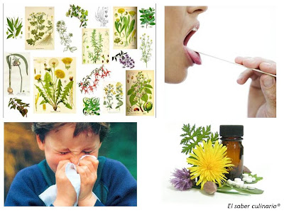 plantas-medicinales-resfriado