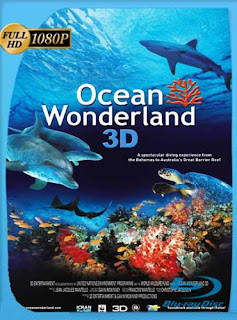 Un Mundo Maravilloso En El Oceano 3D (2003) ​​HD [1080p] Latino [GoogleDrive]