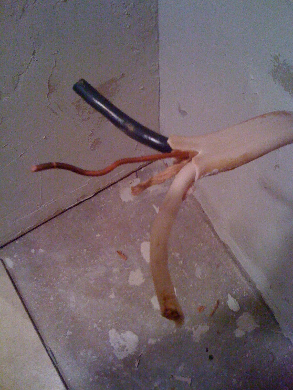 How To Wire A Receptacle