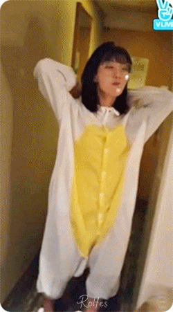 토끼 비니 & 고양이 진이.gif | 인스티즈