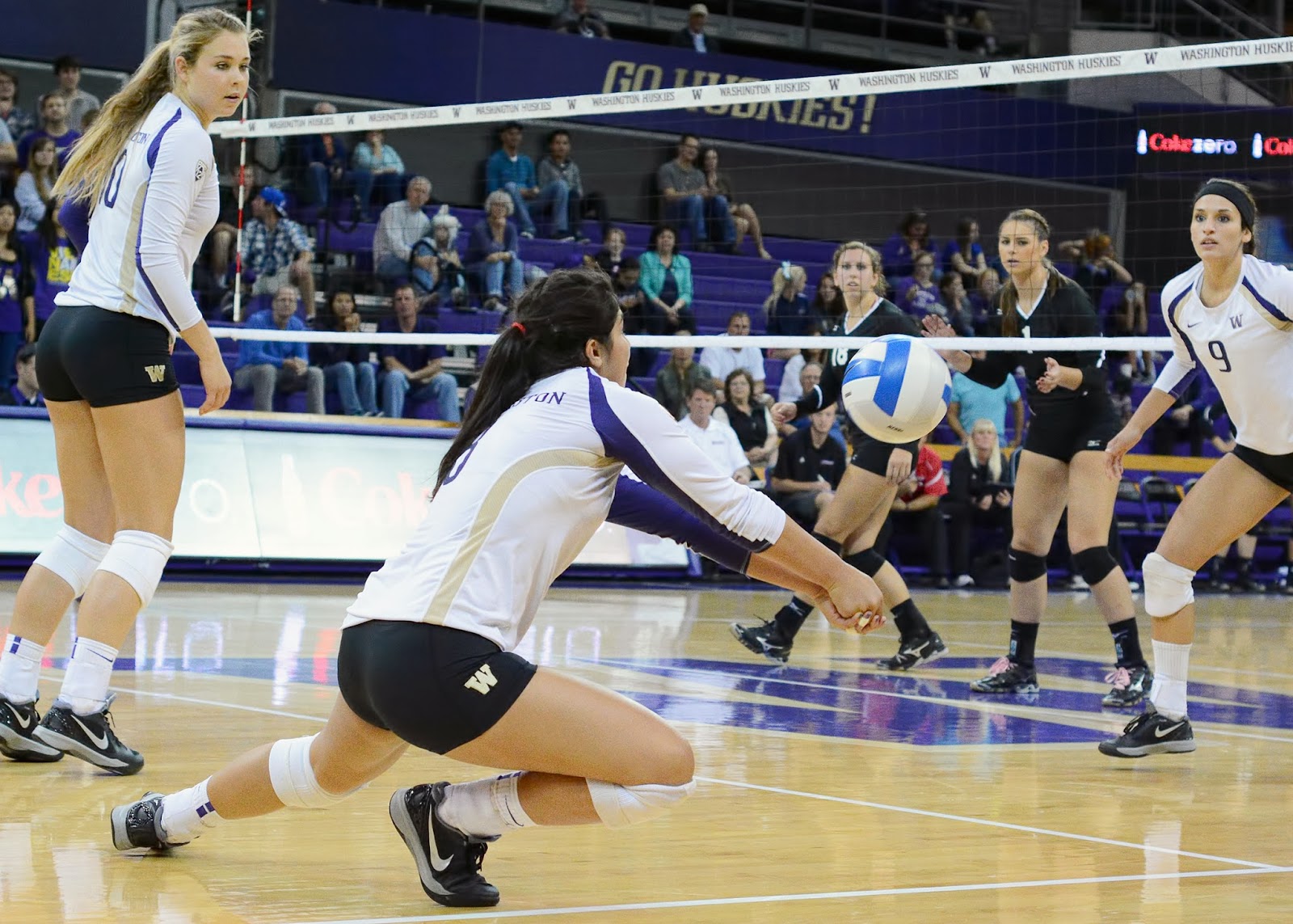 Volleyblog Seattle: NCAA | Media poll also ranks Washington volleyball #2 Volleyblog Seattle: NCAA | Media poll also ranks Washington volleyball #2