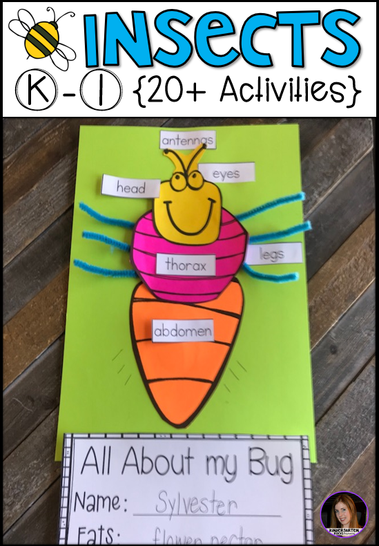 Insects 20+ Activities for Kindergarten - Kindergarten Rocks Resources