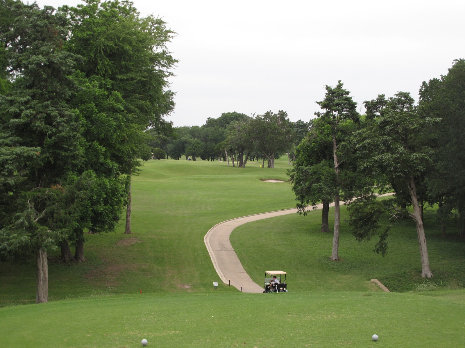 Divots Throughout Dallas Cedar Crest Golf Course